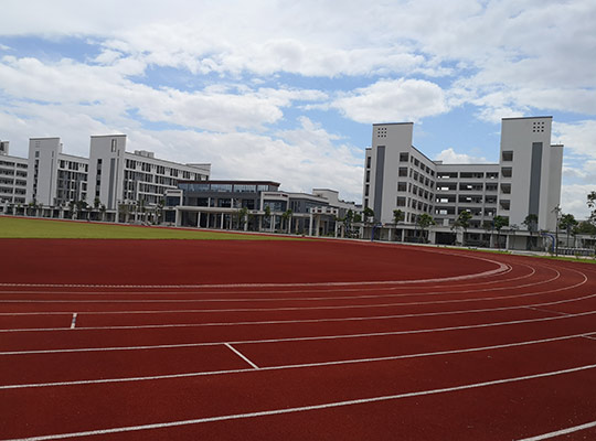 球场体育馆施工案例